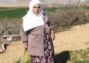 Kızıltepe’de kazada yaralanan yaşlı kadın hayatını kaybetti