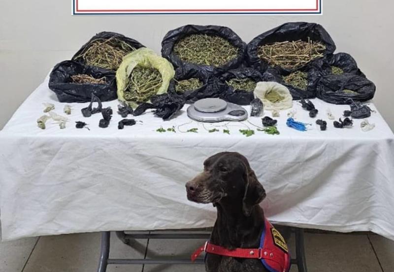 Kızıltepe’de uyuşturucu ticareti yapan şahıs tutuklandı