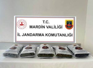 Mardin’de uyuşturucu satıcılarına operasyon: 4 tutuklama
