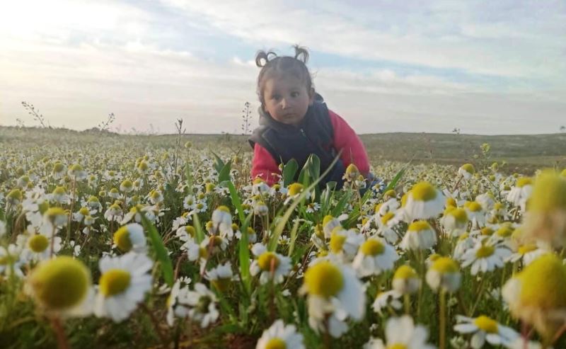 Mardin’de aracın çarptığı minik Zeynep, hayatını kaybetti