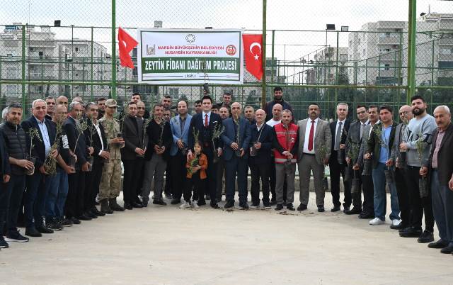 Mardin’de çiftçilere 8 bin zeytin fidanı dağıtıldı