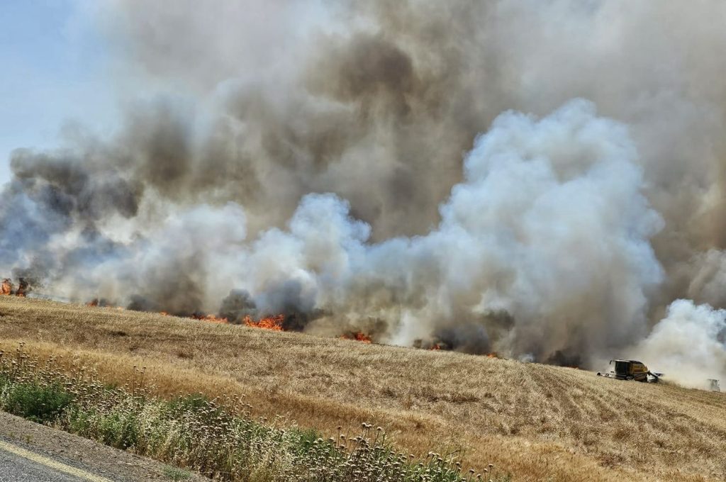 Kızıltepe’de 350 Dönüm Ekili Buğday Yandı