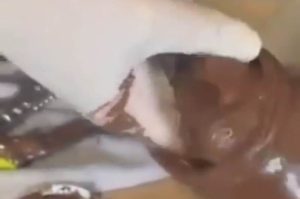 Mardin’de Çikolata Kavanozu İçine Gizlenen Uyuşturucu Ele Geçirildi