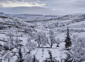 Mardin, Sabaha Beyaz Örtüyle Uyandı