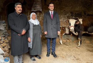 Mardin’de Geçim Kaynağı Telef Olan Anneye Umut Eli