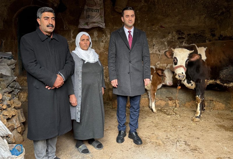 Mardin’de Geçim Kaynağı Telef Olan Anneye Umut Eli